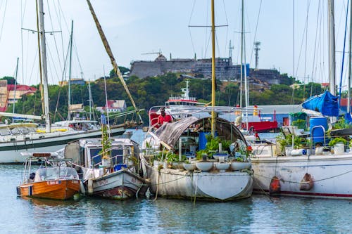 Foto profissional grátis de ancorado, barcos de pesca, costa