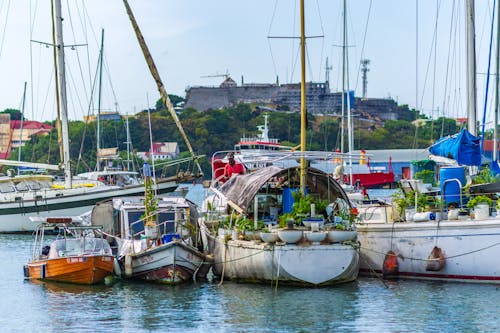 Fishing Boats Moored on Sea Coast