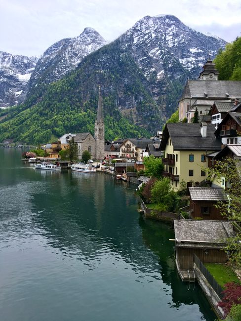 Austria: Coffee Houses with a Side of History Austria: Coffee Houses with a Side of History