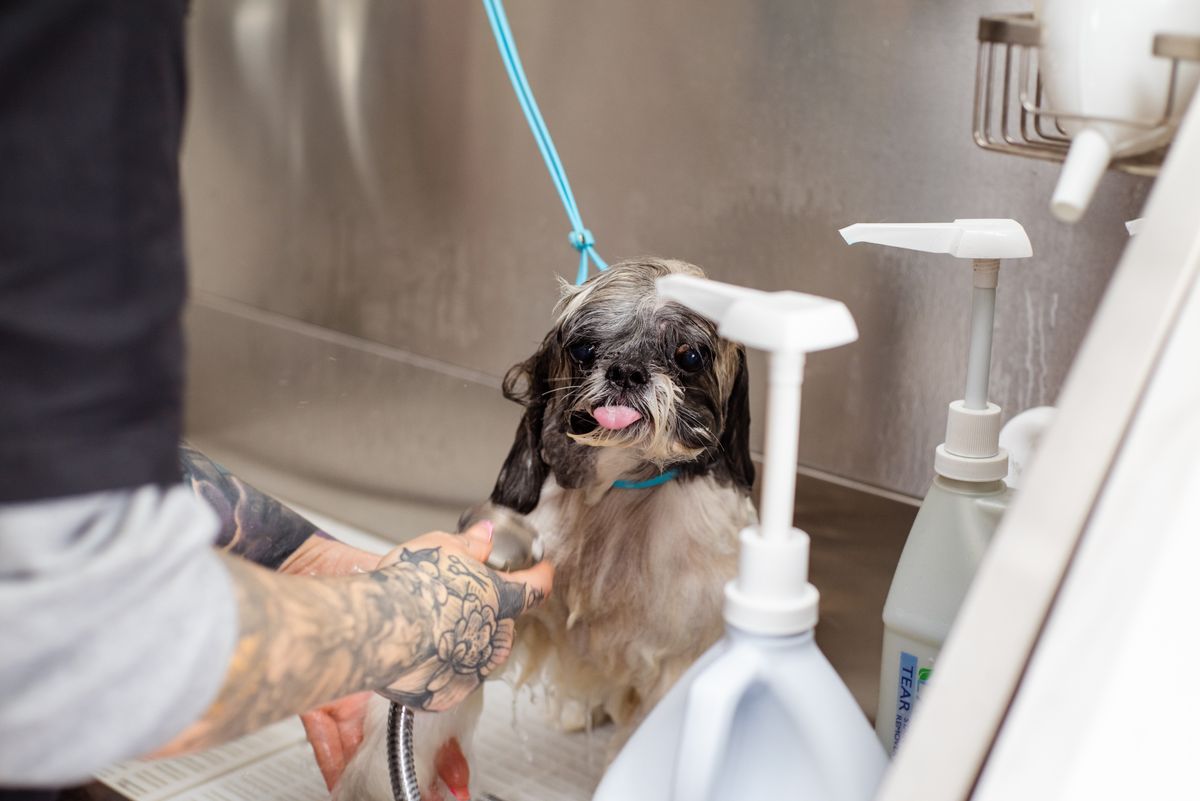 De-Shedding Treatment