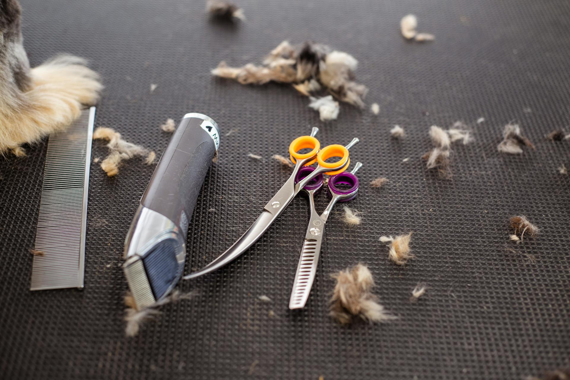 Trimmer and Scissors for Grooming