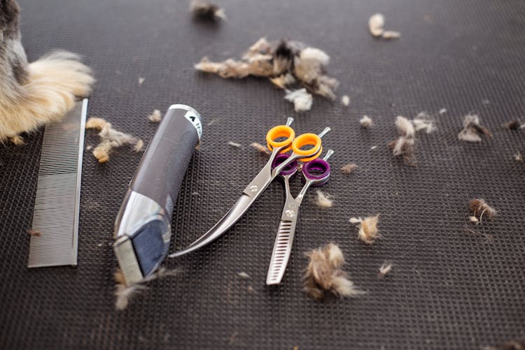 Trimmer And Scissors For Grooming