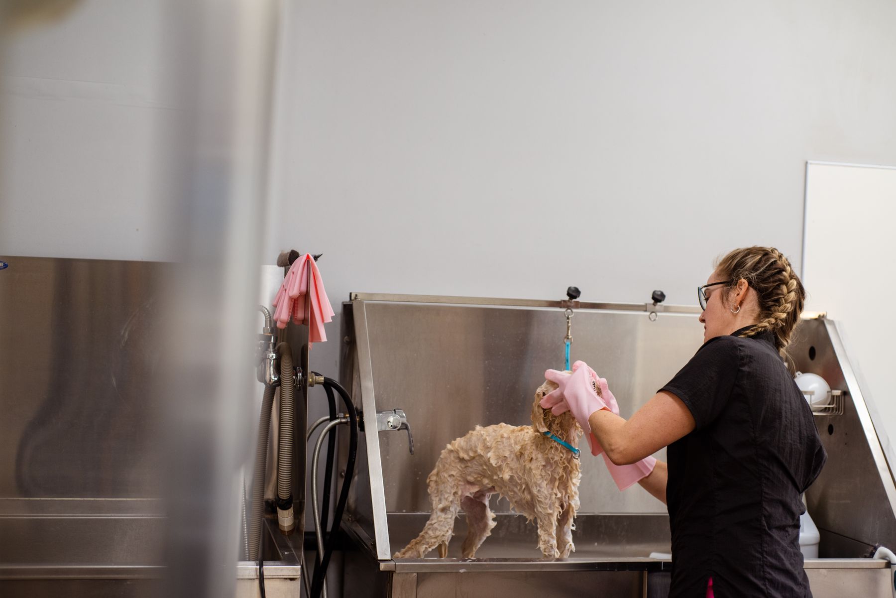 A dog groomer bathing a small dog in a salon.