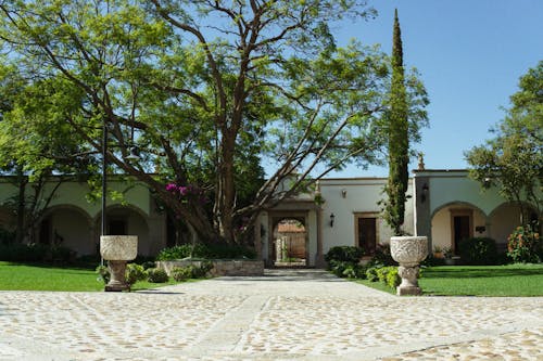 Cobblestone Pavement near Building