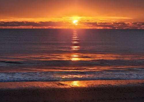 Foto profissional grátis de céu amarelo, litoral, luz do sol