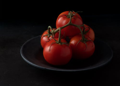 Tomatoes on Plate