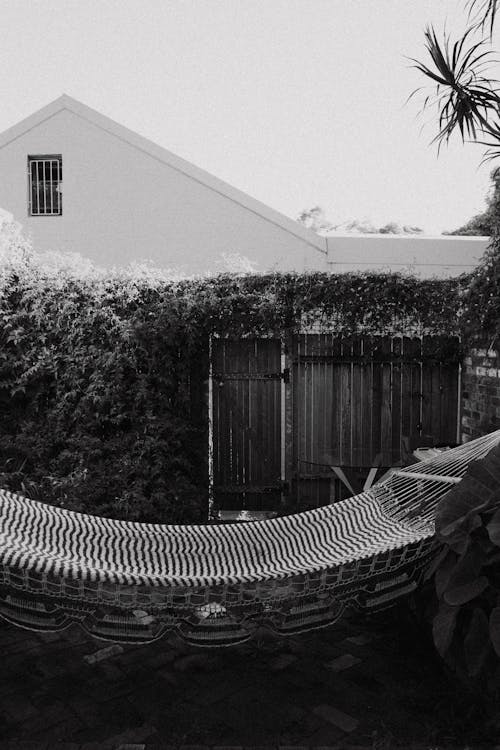 Hammock and Ivy on Fence behind