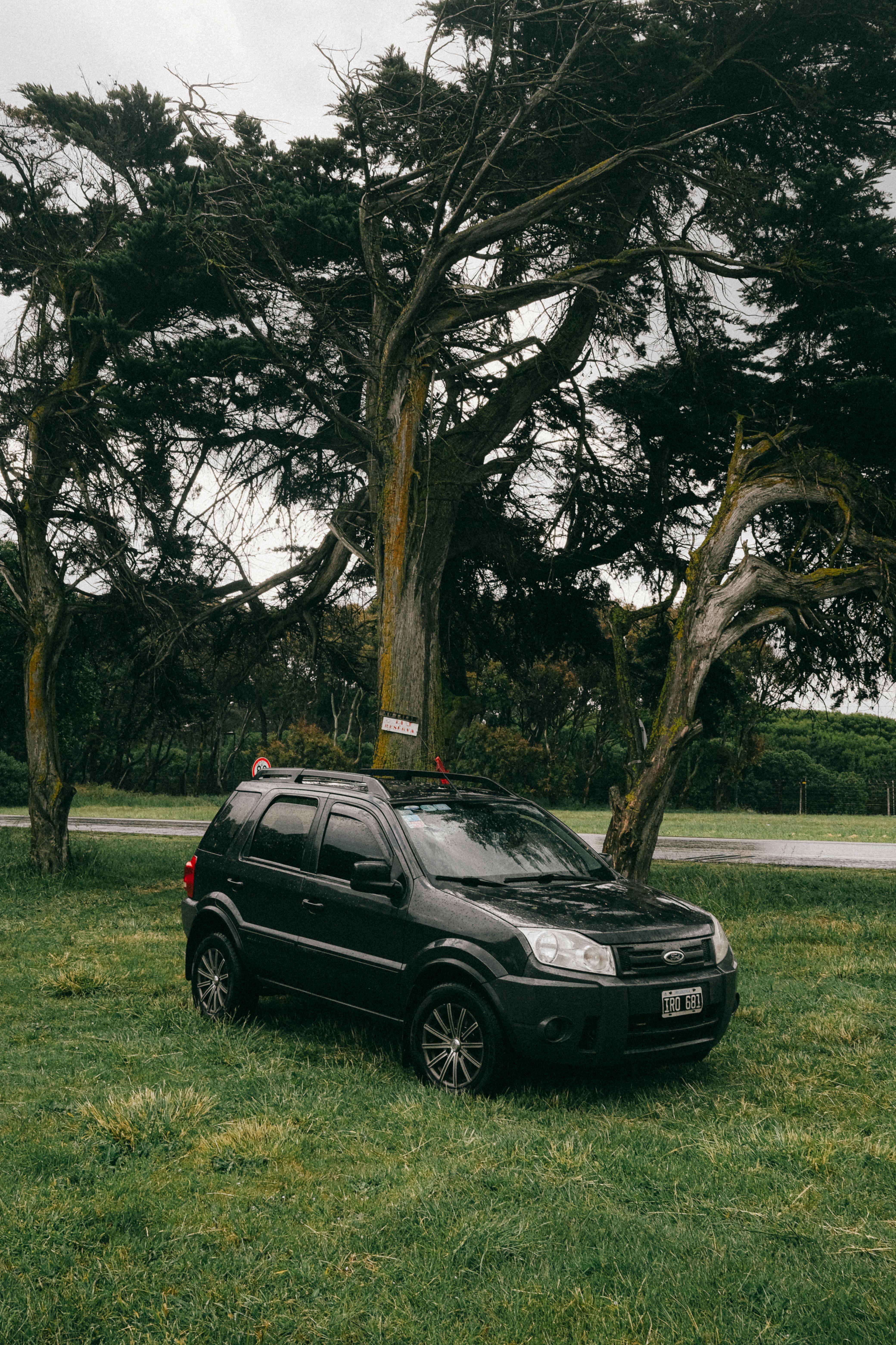 suv parked on grass