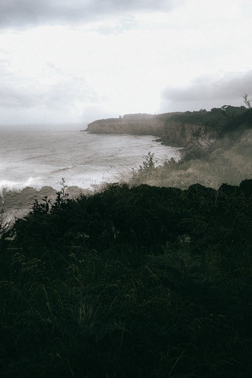 Foto profissional grátis de cenário, costa, mar