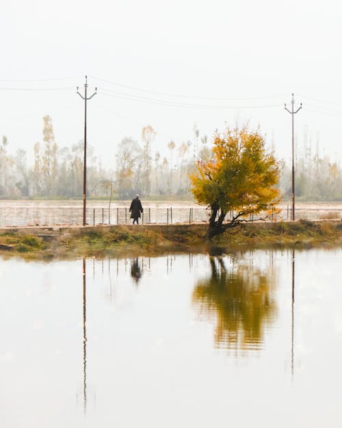 Foto d'estoc gratuïta de 8k fons de pantalla, a l'aire lliure, aigua