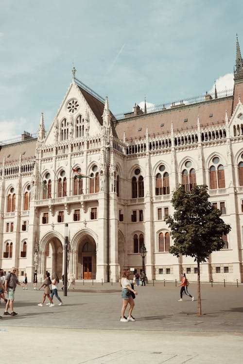 Foto profissional grátis de andando, árvore, Budapeste