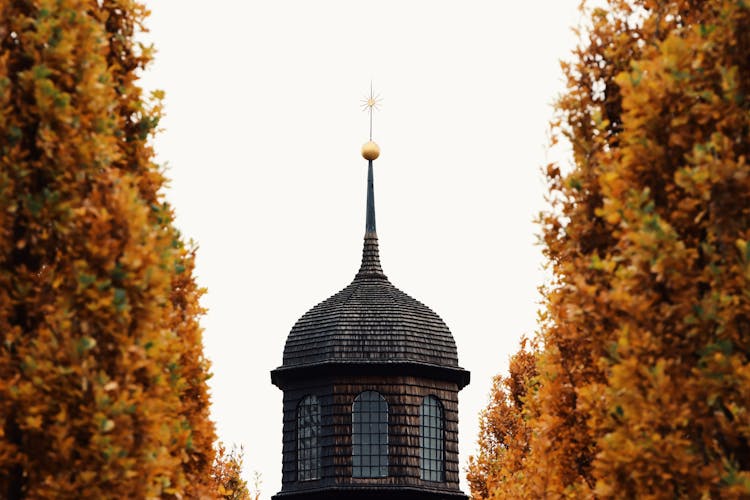 Autumn Trees Around Vintage Tower