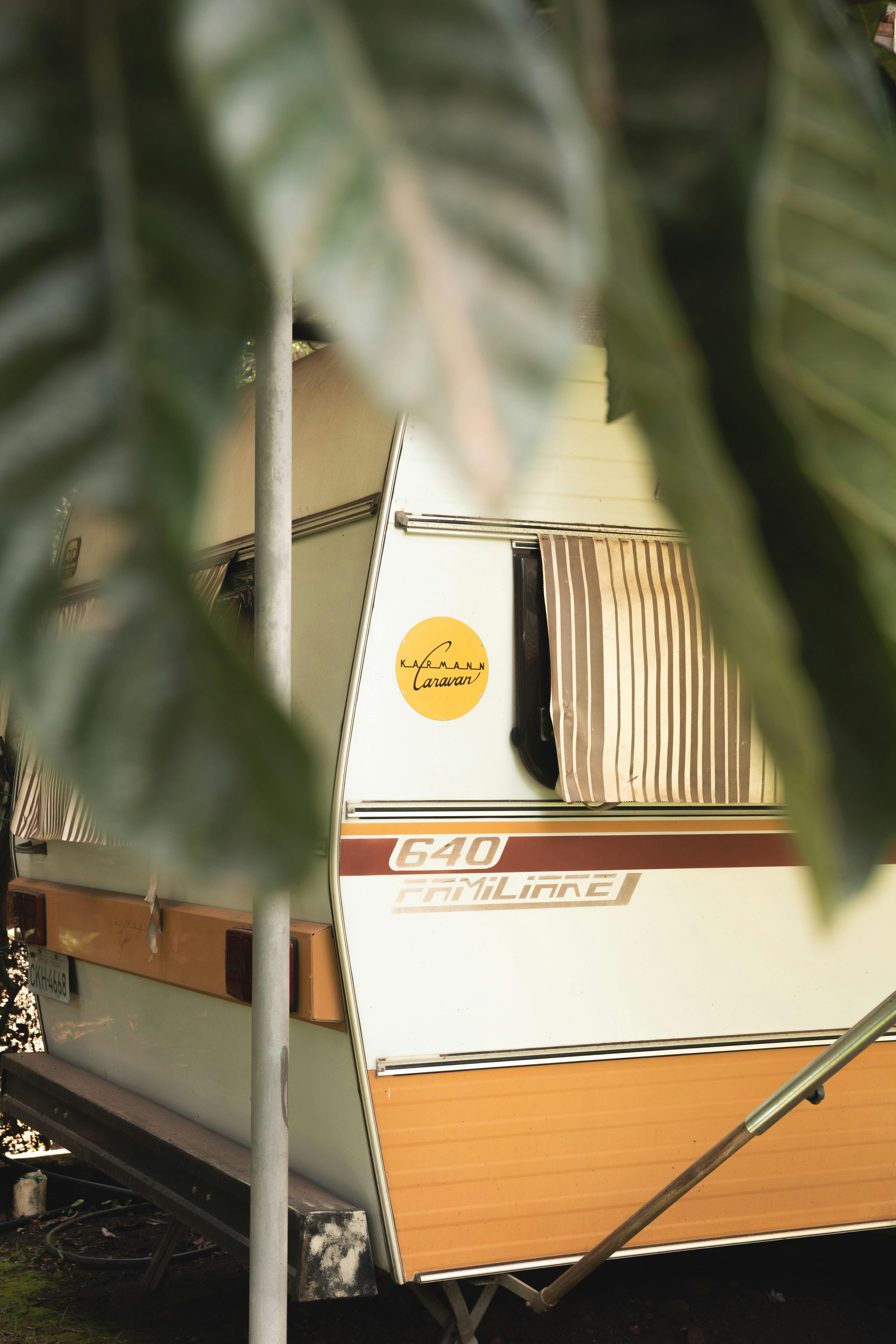 Septic System Repair near La Palma CA