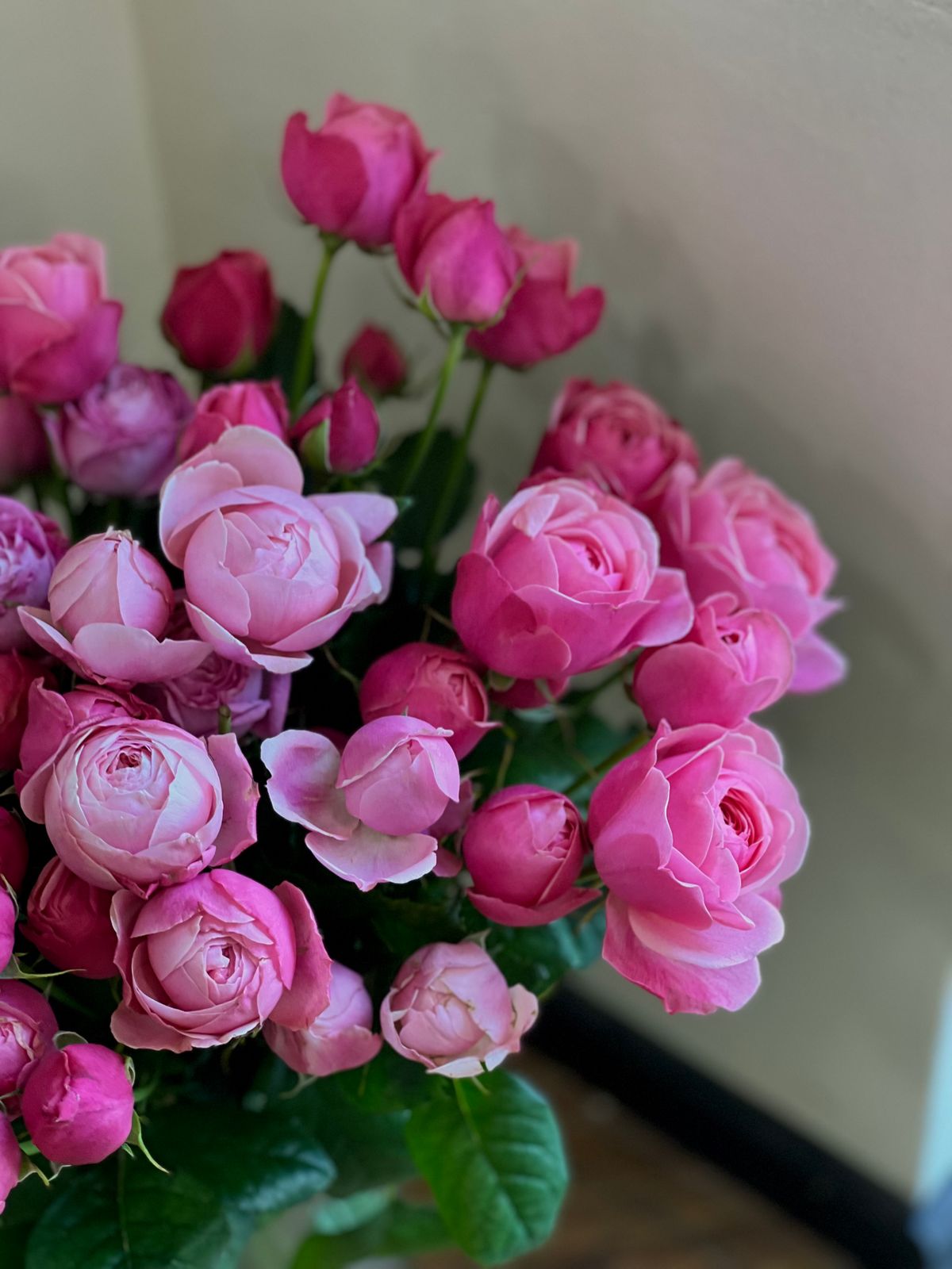 Red Daisies and Pink Roses With Text Overlay · Free Stock Photo