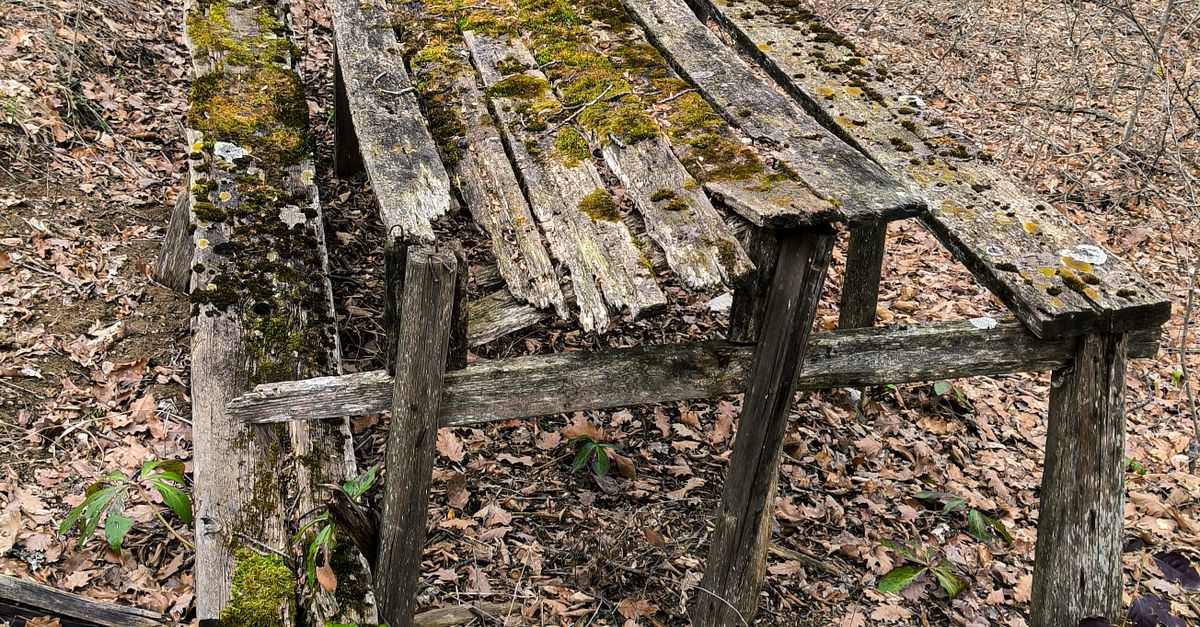Decaying Table Decaying Wooden Picnic Table · Free Stock Photo