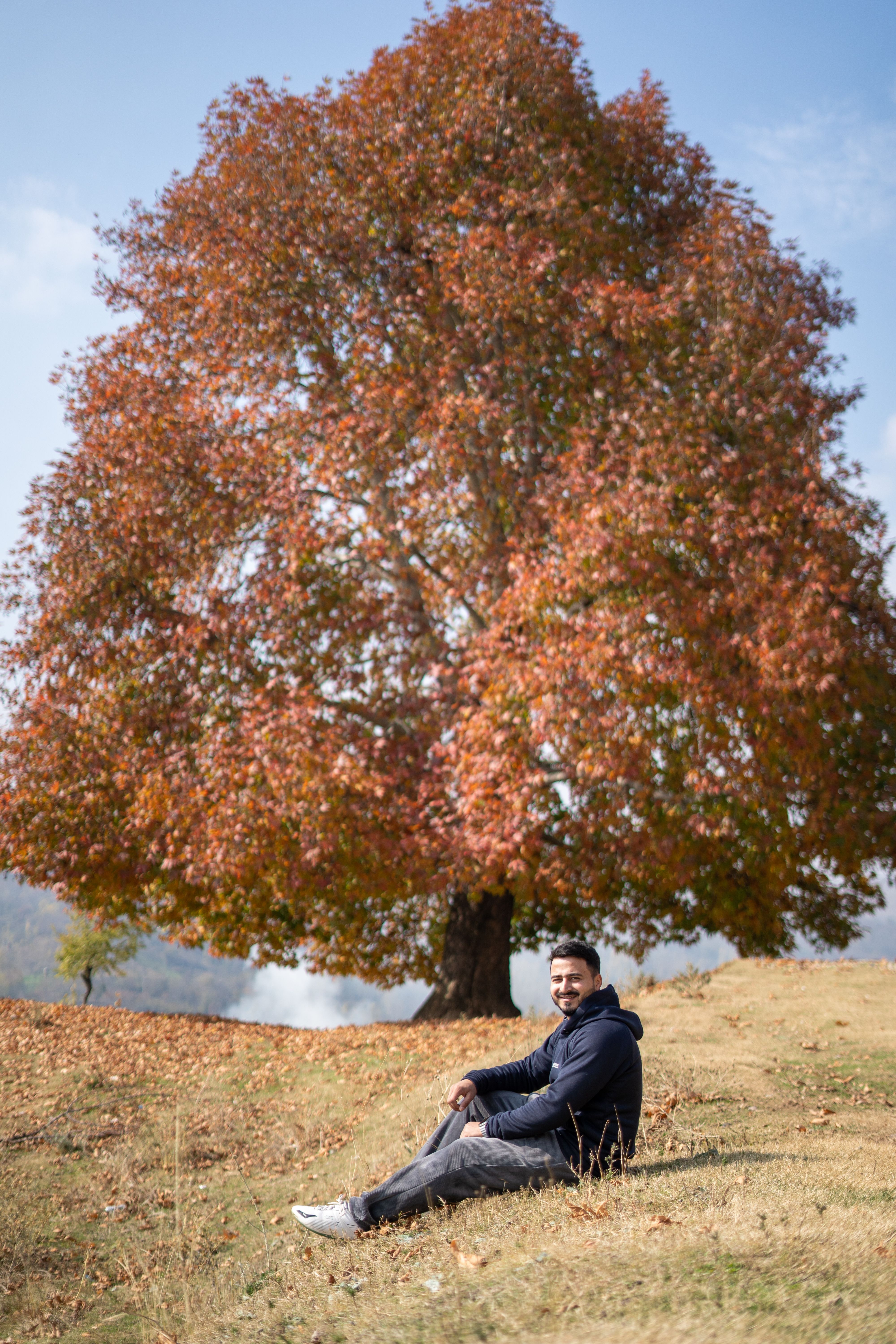 A man in a hoodie sits on grassy hill in Srinagar with a large autumn tree behind.