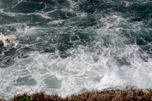 Waves in Disturbed Sea