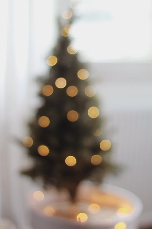 Foto d'estoc gratuïta de arbre de Nadal, borrós, brillantor
