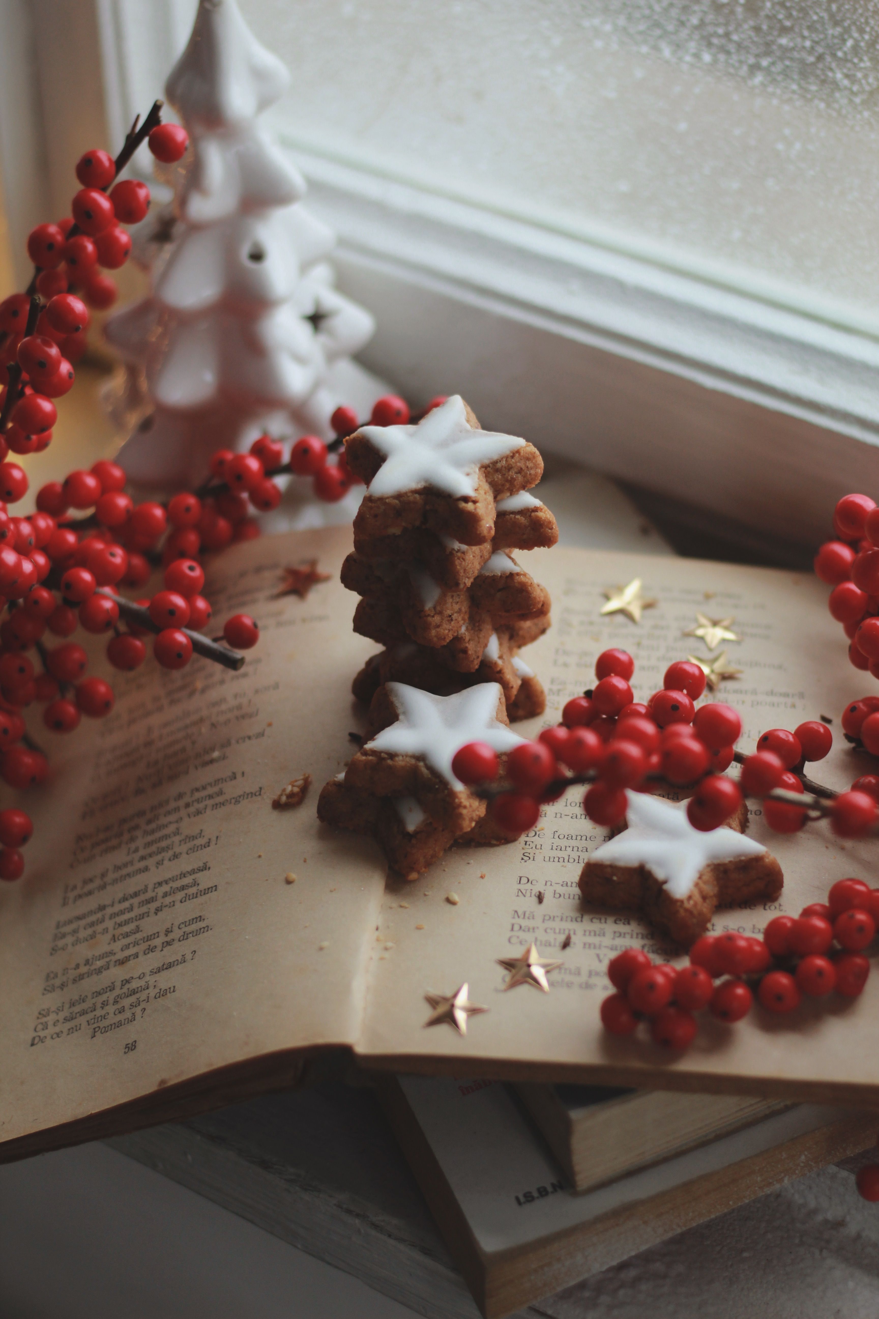 Star-shaped gingerbread cookies with red berries on an open book by a festive windowsill.