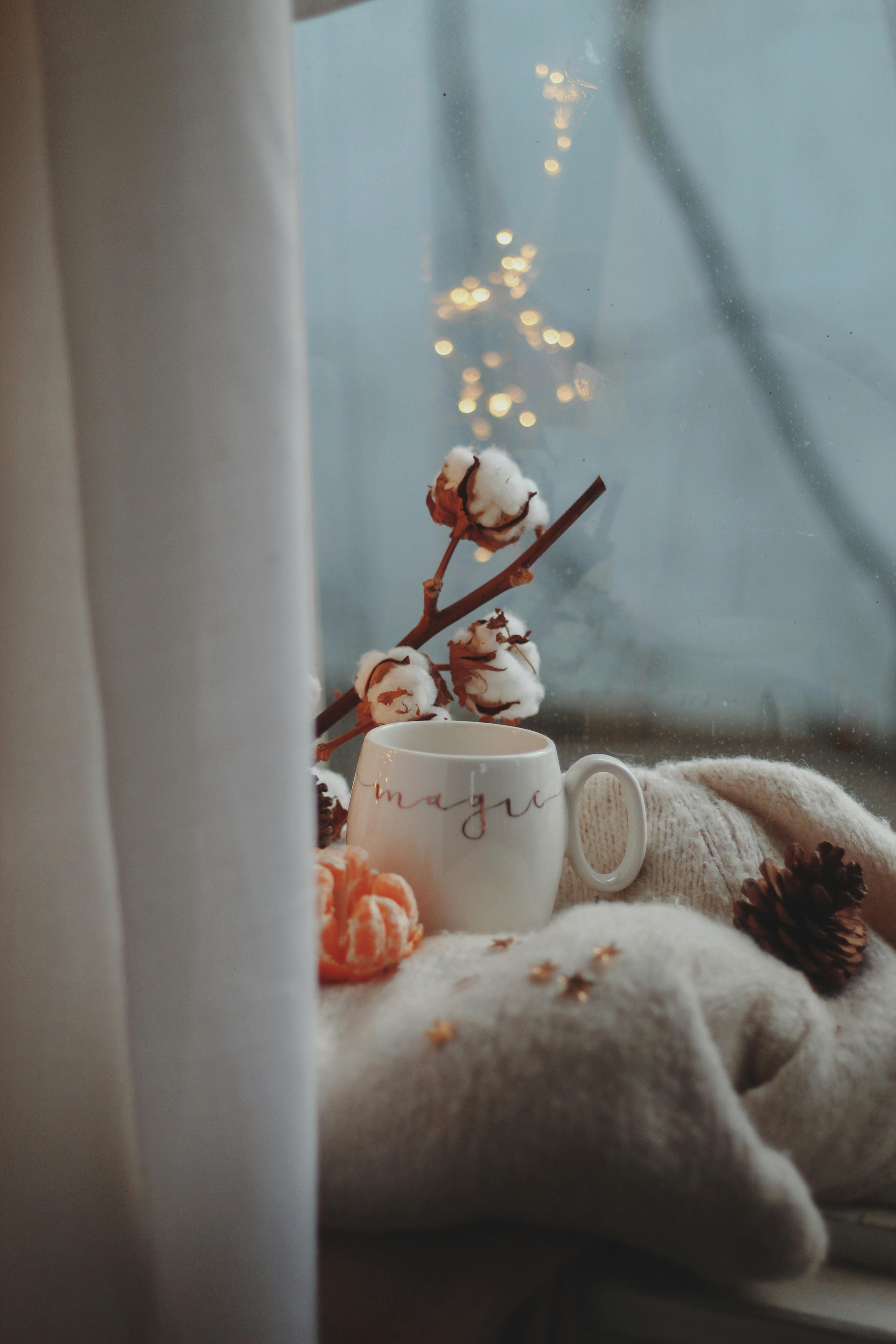 Still Life with a White Mug and Tangerine on a Warm Woolen Plaid · Free  Stock Photo