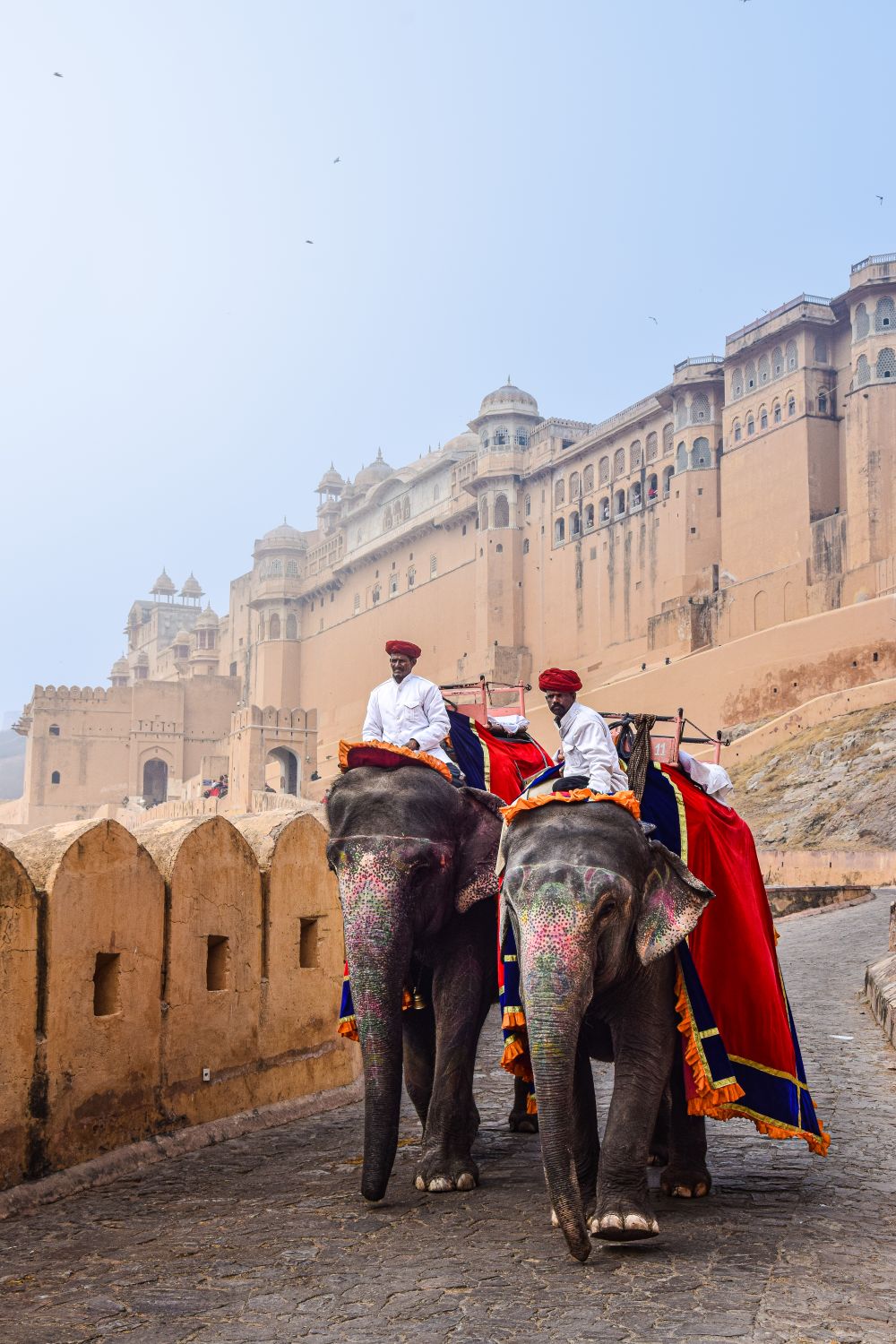 Guy Riding Elephant Two Men Riding Elephants · Free Stock Photo