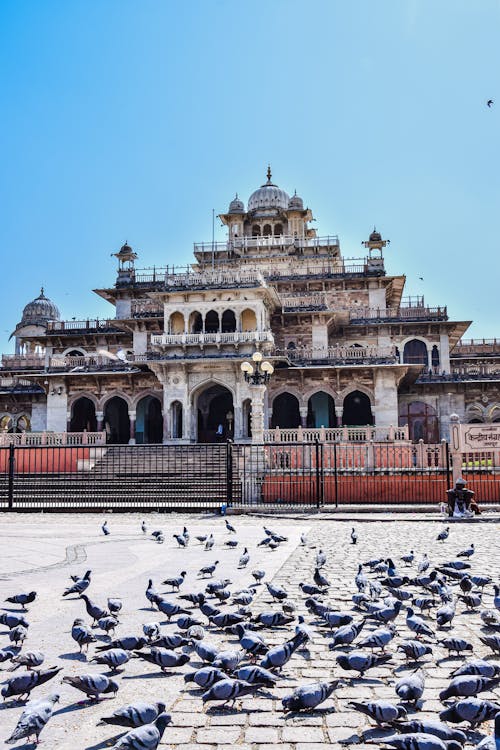 The Albert Hall Museum in Jaipur, India