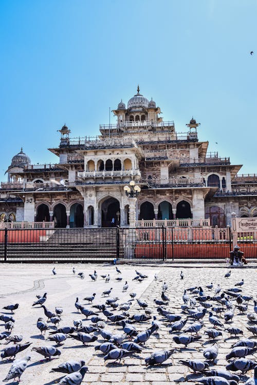 Kostenloses Stock Foto zu albert hall museum, gebäude außen, hindu