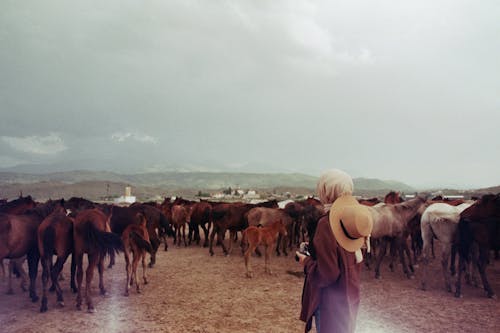 A Woman Standing on a Field with an Herd of Horses 