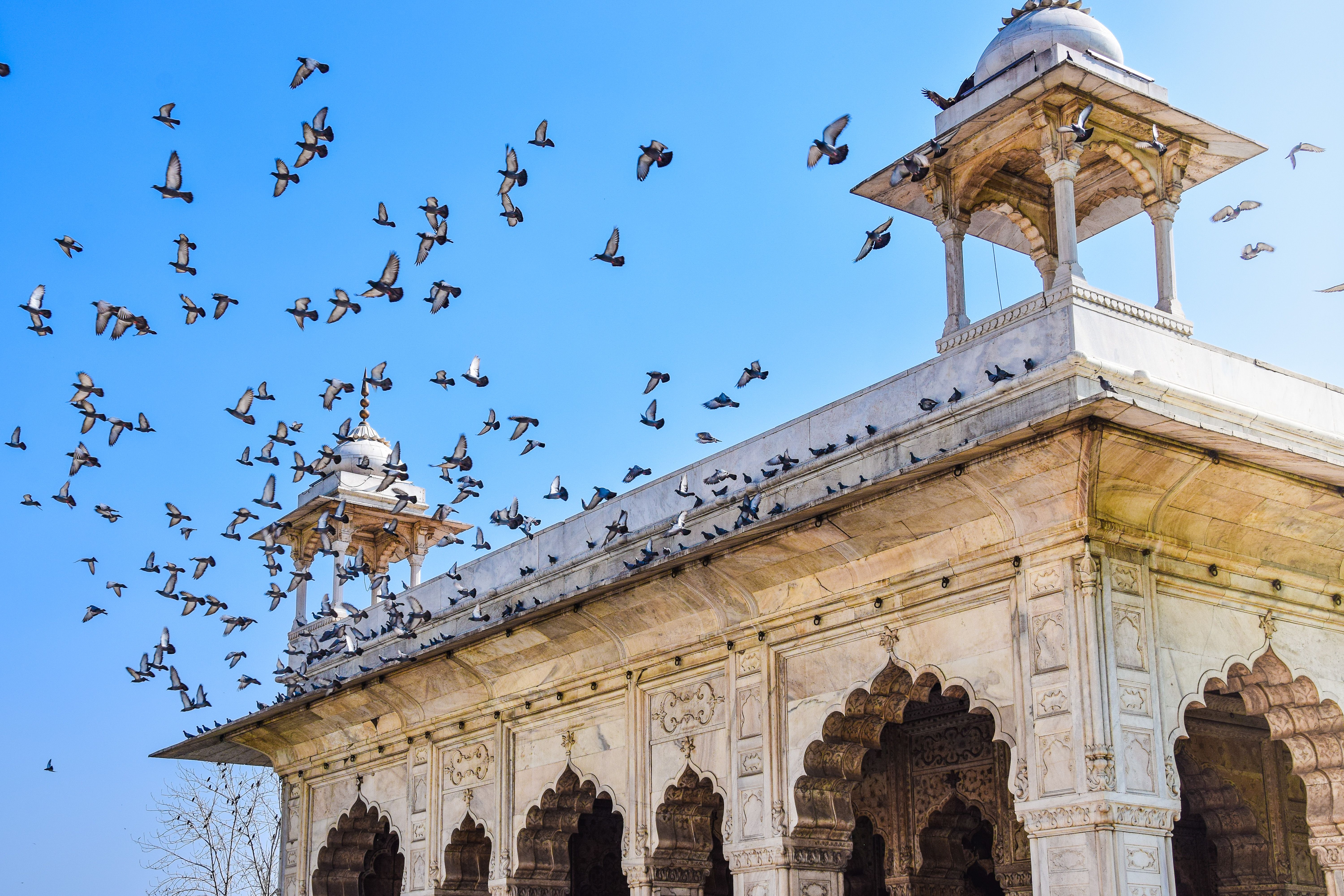 Day-trip to Old Delhi on the Red Line