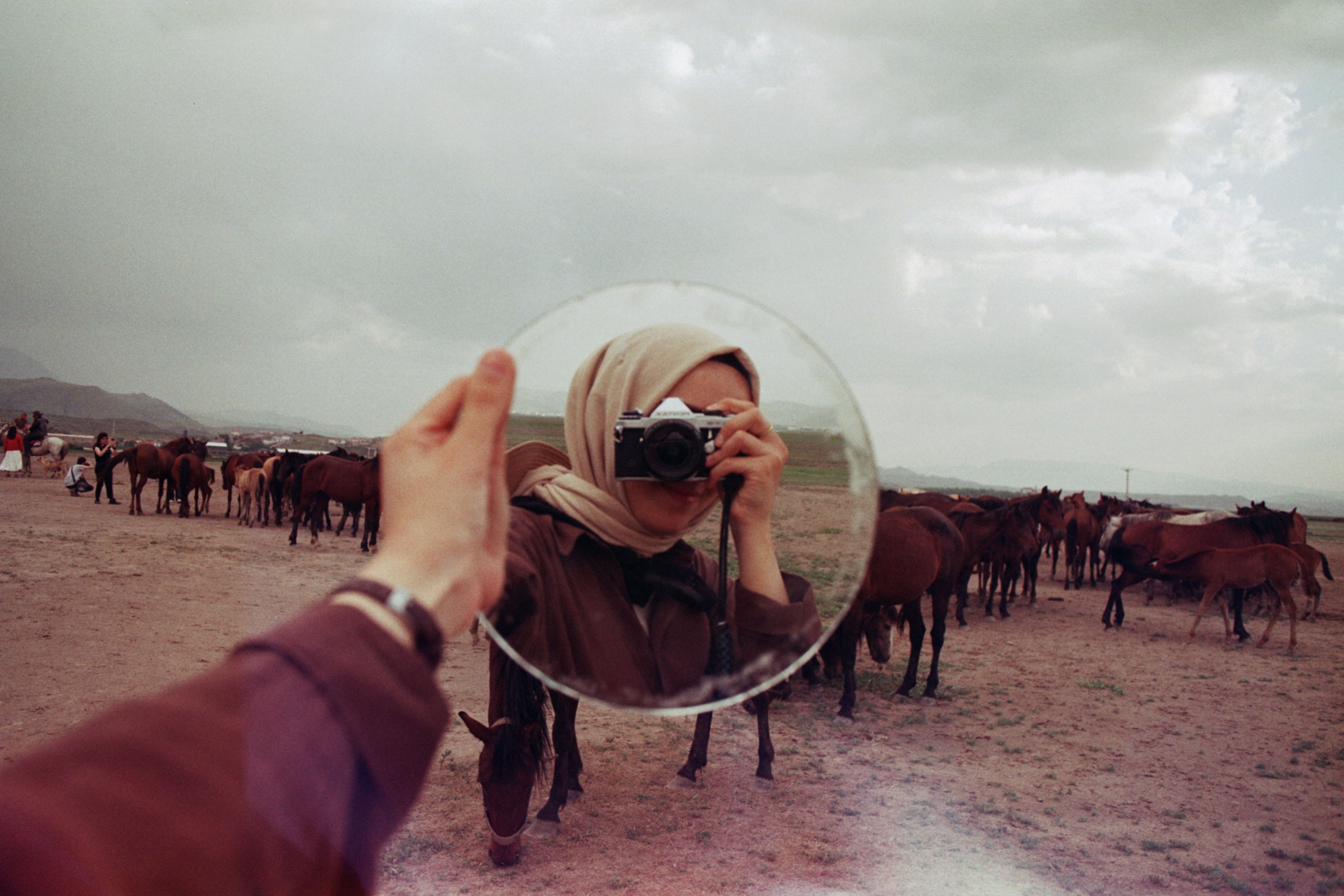 A woman uses a mirror to capture a herd of horses in a unique photography setup.