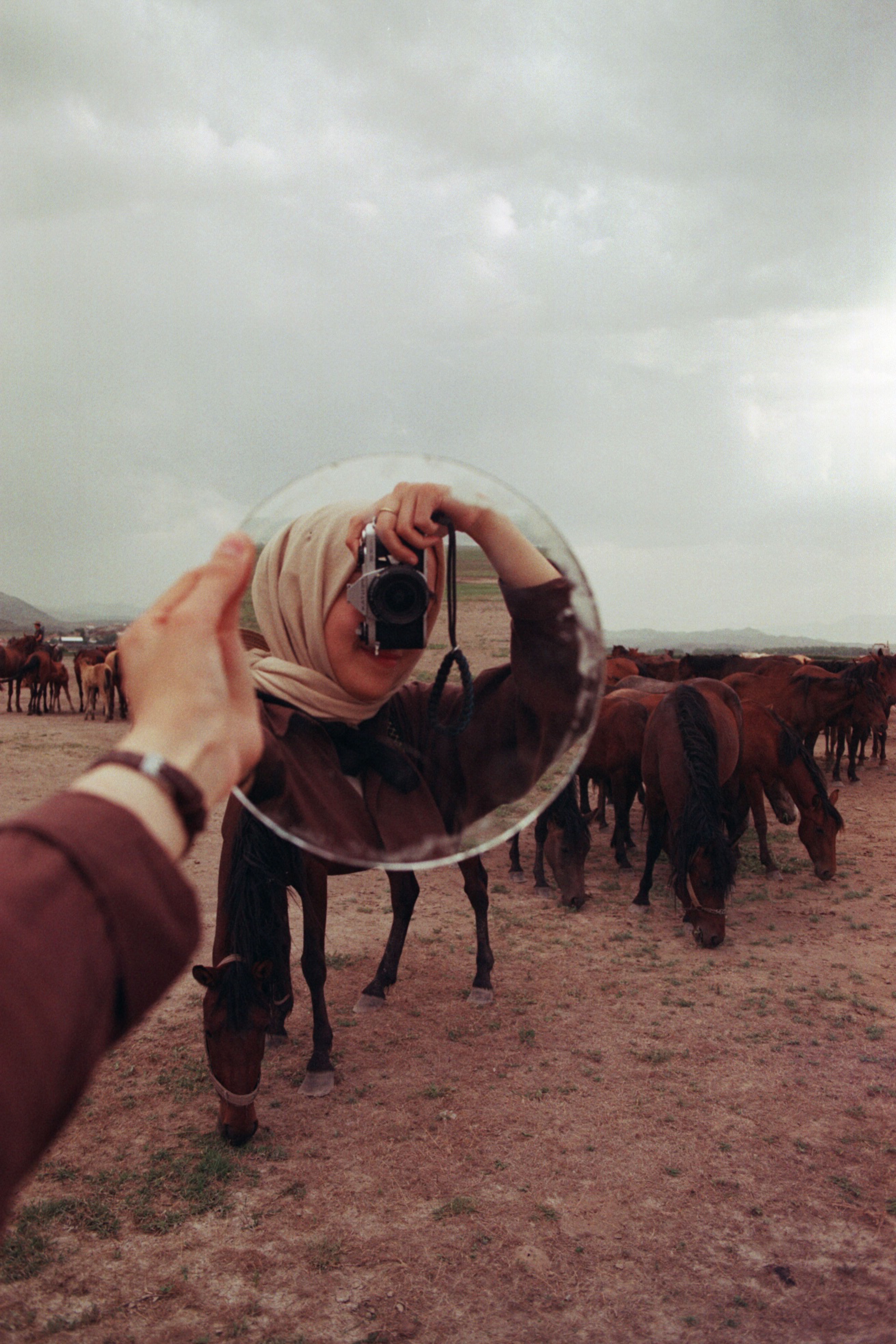Unique shot of woman capturing herd of horses using a mirror reflection.
