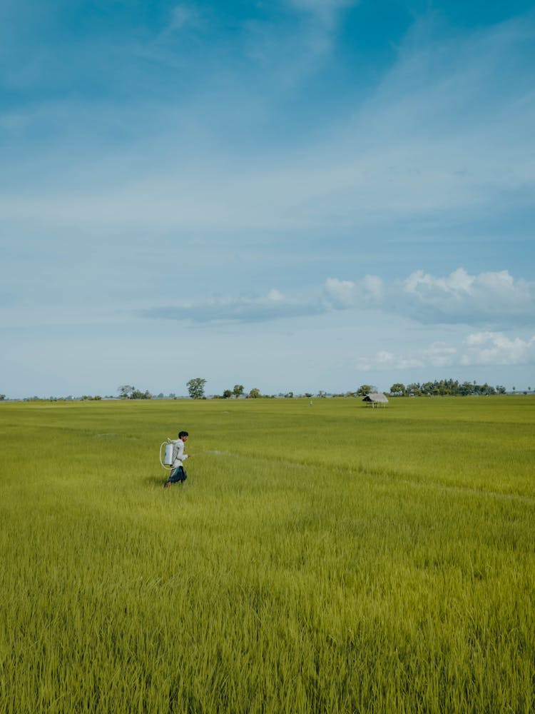 Farmer On Green Field