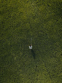 Drone shot of a farmer walking through lush green farmland.