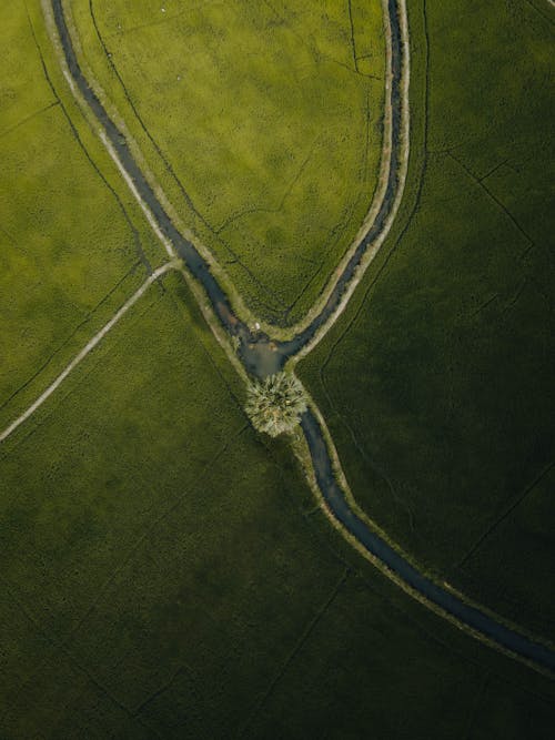 River on Green Fields