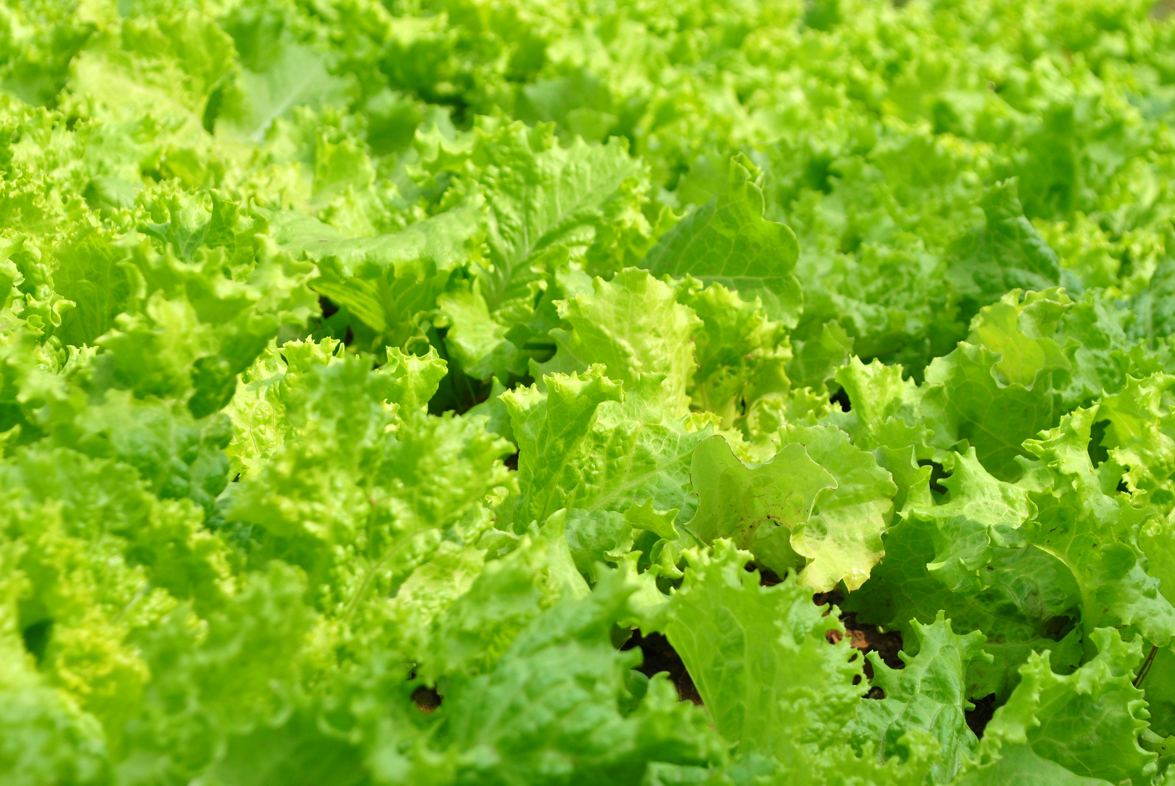 Дорожные знаки и автомобиль