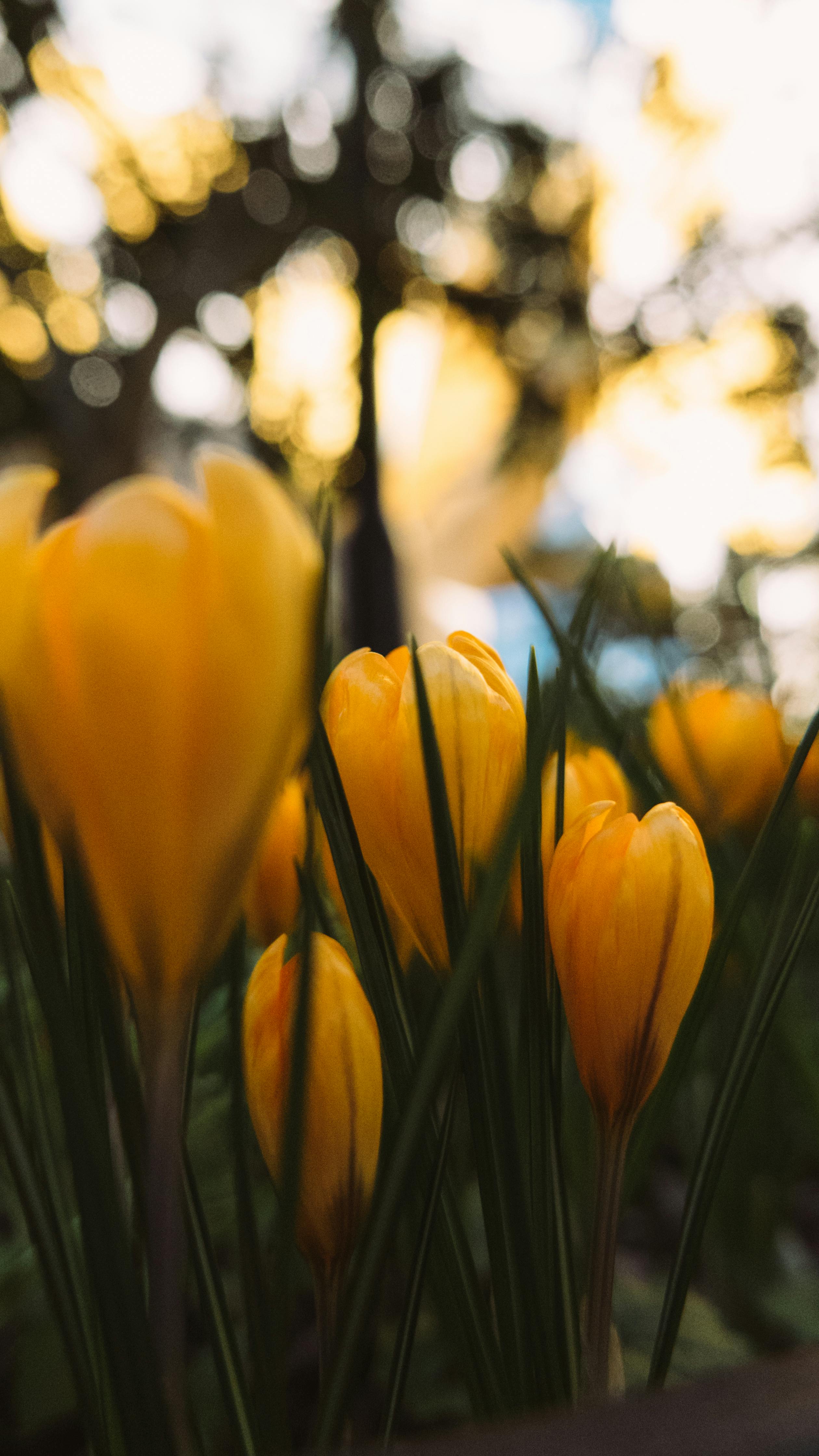 Monitor Screen Turned on · Free Stock Photo