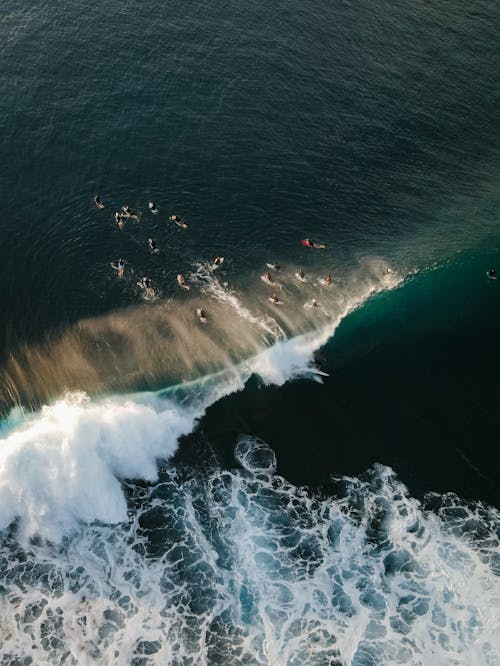 Surfowanie Po Oceanie