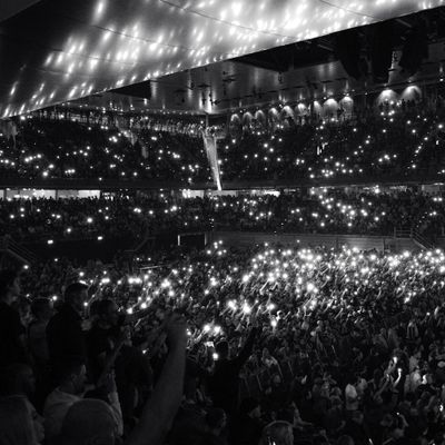 Live concert