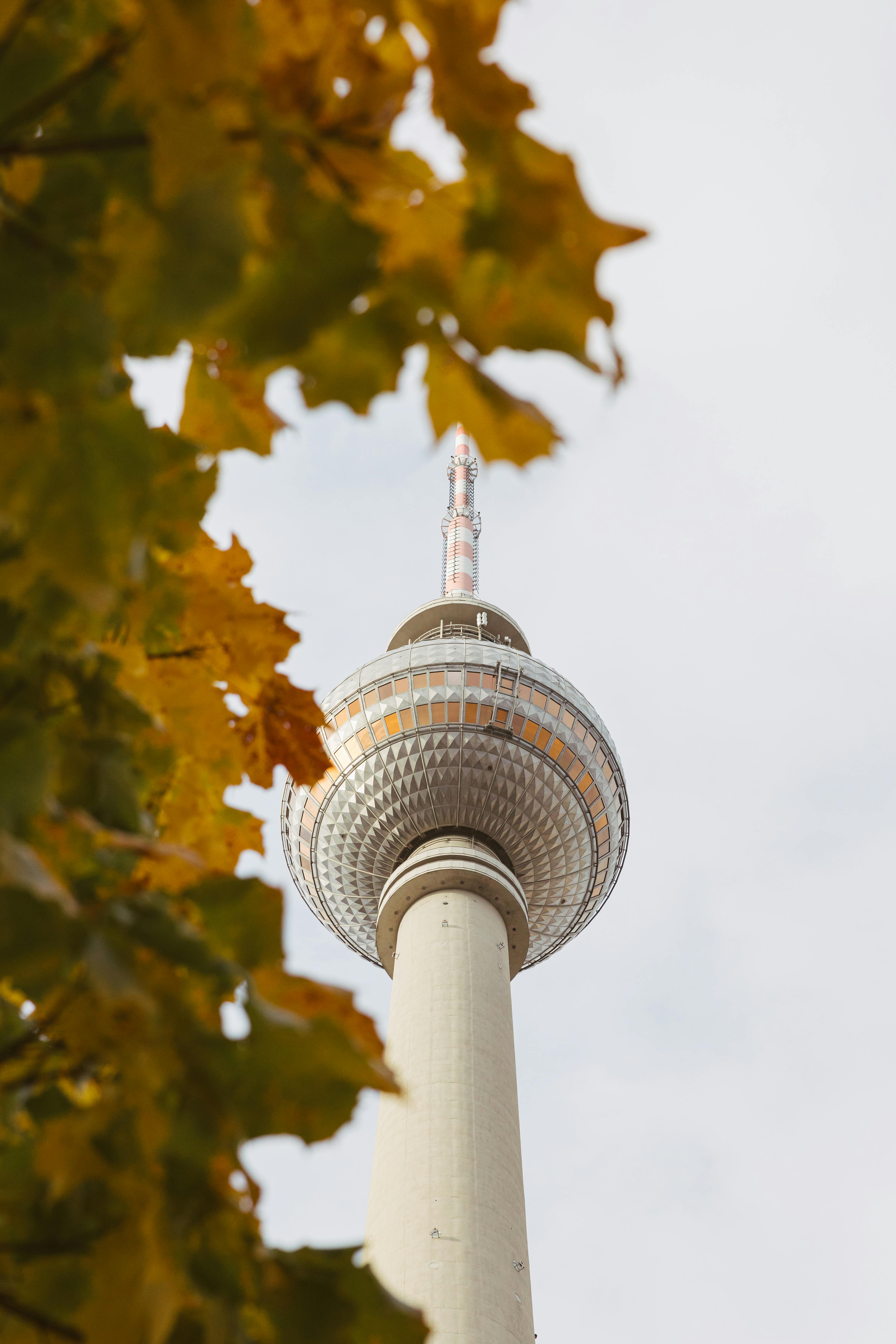 Berlin TV Tower framed by autumn leaves, showcasing urban landmark in fall.