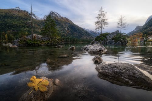 Бесплатное стоковое фото с hintersee, баварские альпы, германия