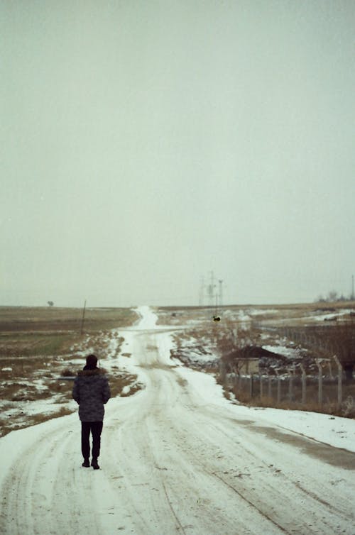 감기, 걷고 있는, 겨울의 무료 스톡 사진