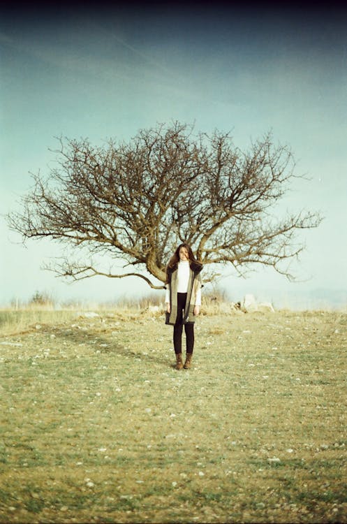 Woman Standing under a Leafless Tree on a Meadow 