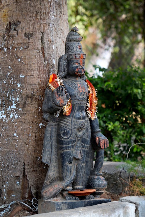 Foto profissional grátis de árvore, budista, deus