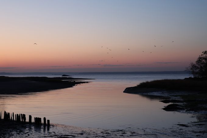 A tidal creek winding through low marshland, photo by David Kanigan on Pexels