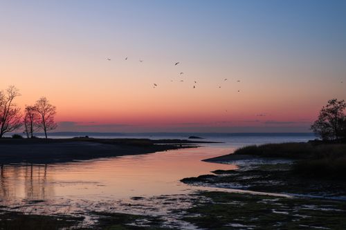 Free Beautiful sunset on a tranquil beach with silhouetted trees and birds in the sky. Stock Photo