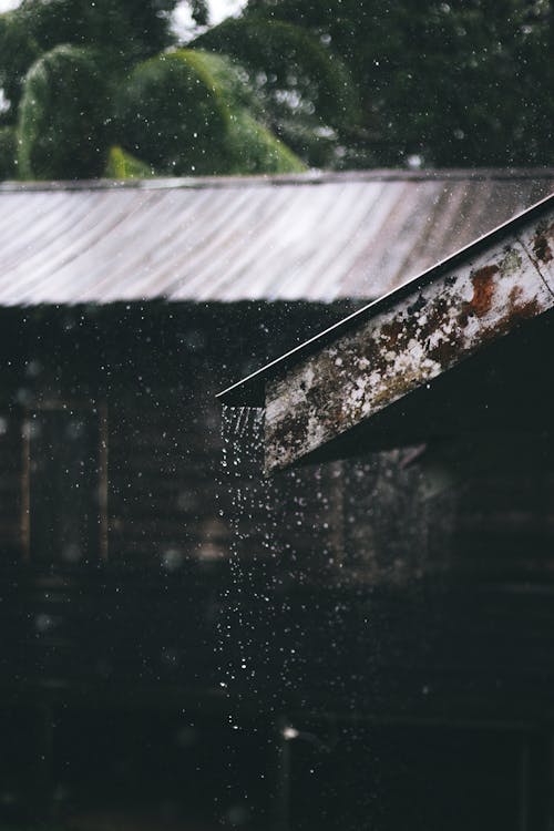 雨の日中の家の波形金属板の選択的焦点写真