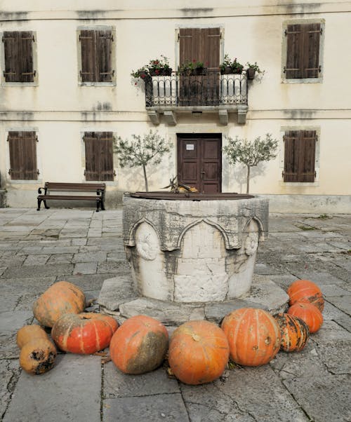 Fotobanka s bezplatnými fotkami na tému dobre, Halloween, mesta