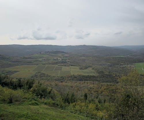 Fields in a Valley