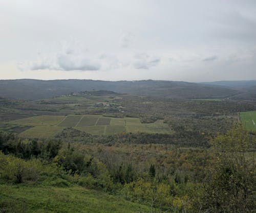 Imagine de stoc gratuită din agricultură, arbori, câmpuri