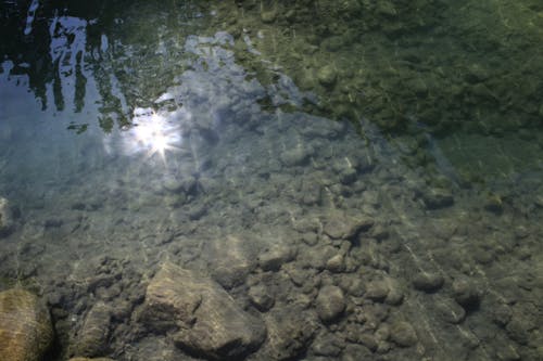 Sun Reflecting on the Surface of the Stream